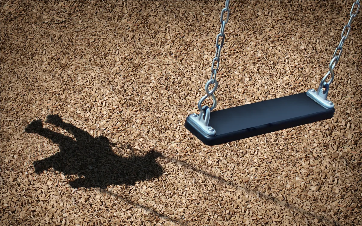 Kayıp Şahıs Araştırması